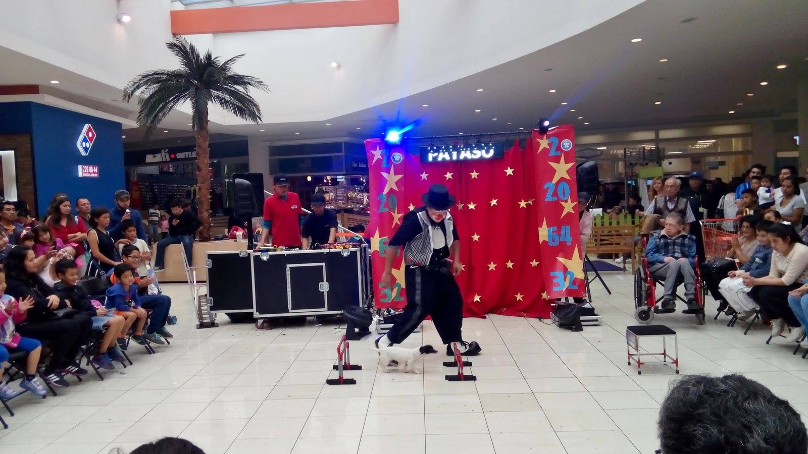 Show de Míster Chispita con perrito