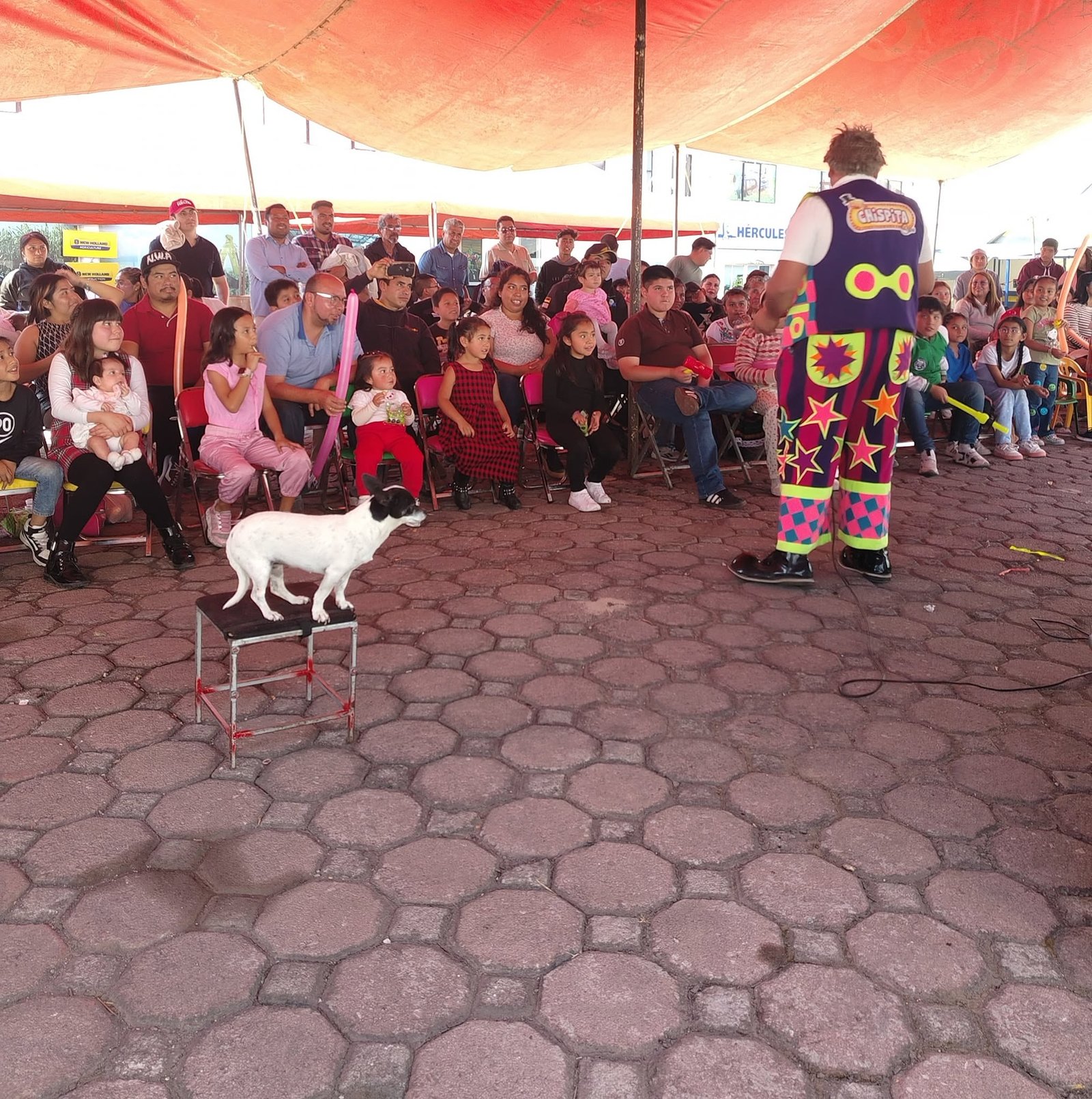 Rutina familiar del show con perrito